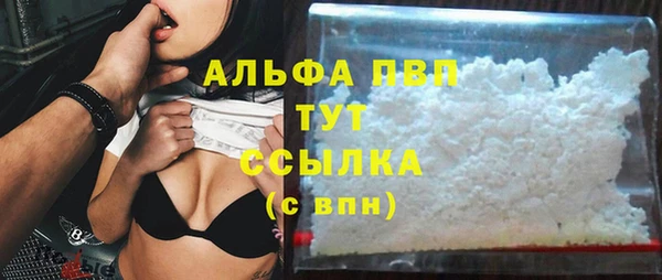 прущие грибы Снежинск