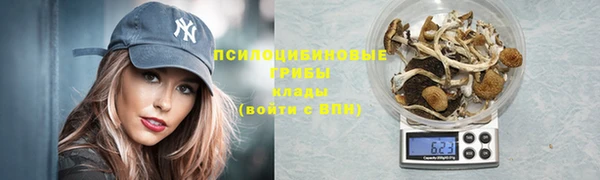 мяу мяу мука Алзамай