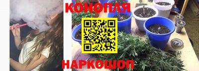 сатива Кандалакша