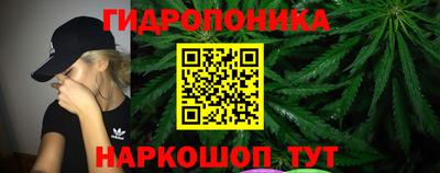 сатива Кандалакша