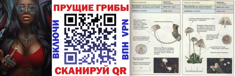 Псилоцибиновые грибы Psilocybine cubensis  Донской 