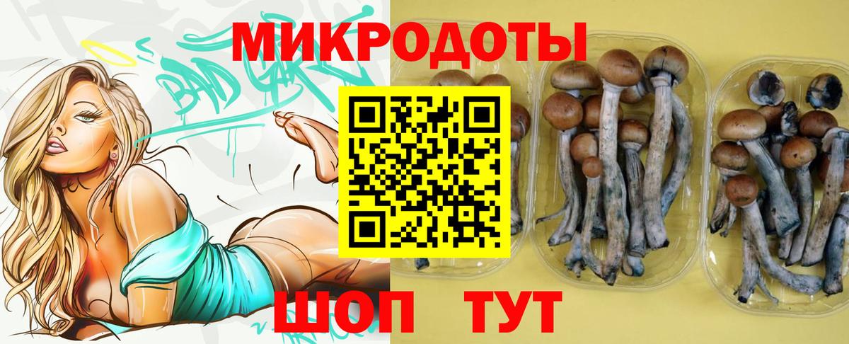 Псилоцибиновые грибы GOLDEN TEACHER  Вход с VPN  Донской  Псилоцибиновые грибы Magic Shrooms 