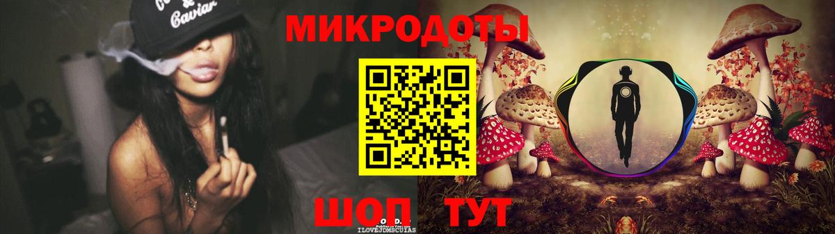 Галлюциногенные грибы Psilocybe Донской